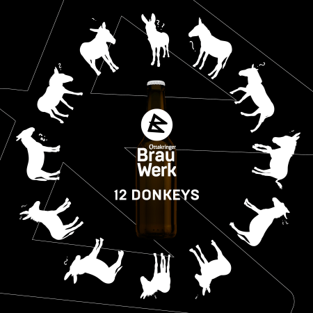 12 DONKEYS - MEHR ESEL BRAUCHT DAS LAND! 12 DONKEYS - MEHR ESEL BRAUCHT DAS LAND!